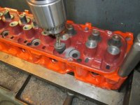 250-head-3.jpg